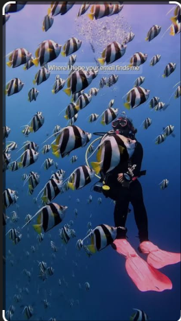 Maldives Diving Adventures