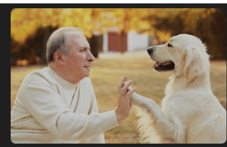 Enhancing Senior Living with Pets:  