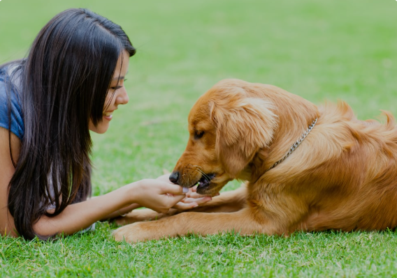 Enhancing Senior Living with Pets: 