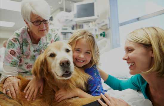 Enhancing Senior Living with Pets