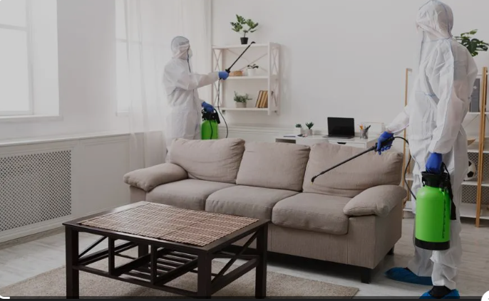 Preventing Infestations Before They Start