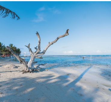 What to Do in Isla Mujeres